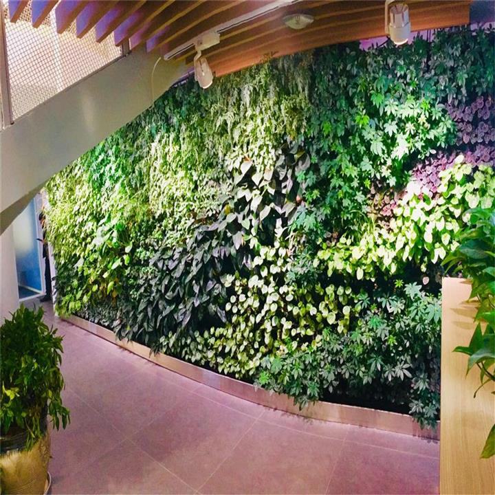 华为贵阳办公室植物墙