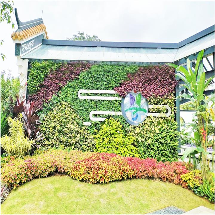 广东展园植物墙