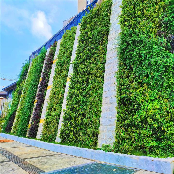 多彩贵州城植物墙