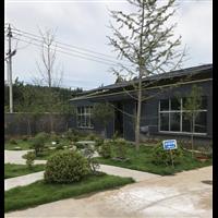 山东林蛙养殖基地