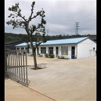 山东林蛙养殖基地