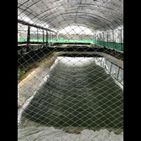 山东林蛙养殖基地