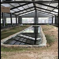 山东林蛙养殖基地