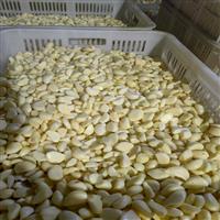 山东蔬菜代办_泰安萝卜代购