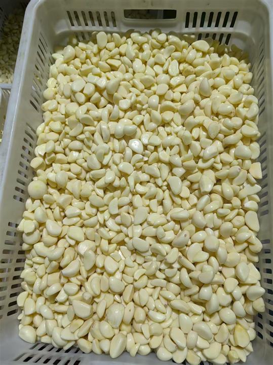 泰安蔬菜代办_农产品供应