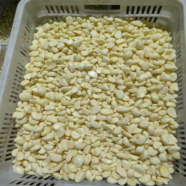 肥城蔬菜代办_精品加工蔬菜